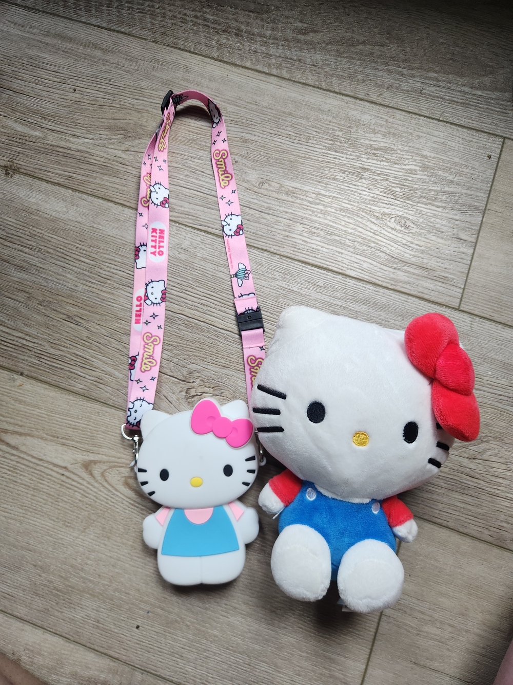 Hello Kitty And Friends Plush With Kids Purse